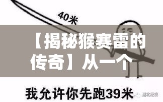 【揭秘猴赛雷的传奇】从一个小小表情包到成为网络文化的现象级符号